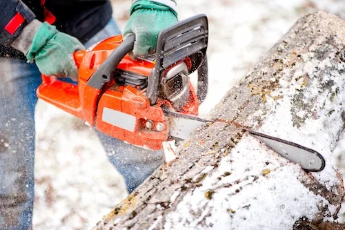 Tree Felling