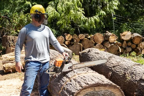 Tree Pruning